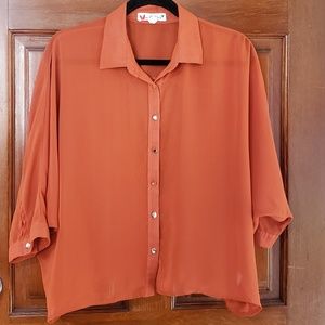 See through collared button down blouse